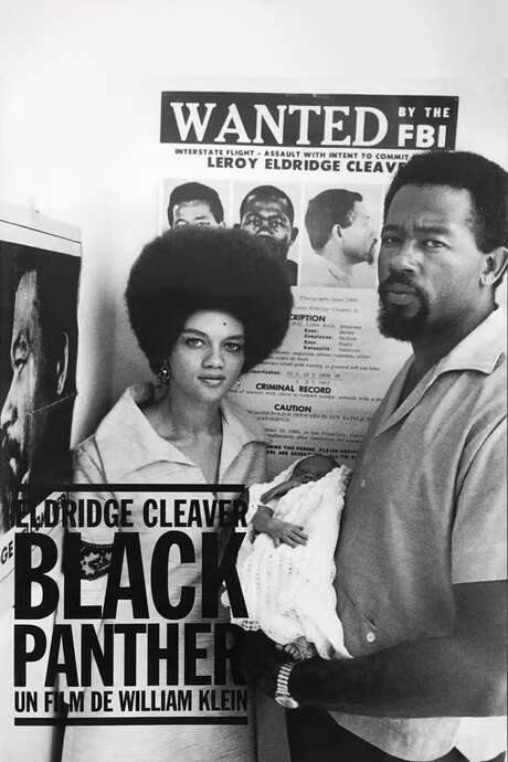 Eldridge Cleaver, Black Panther